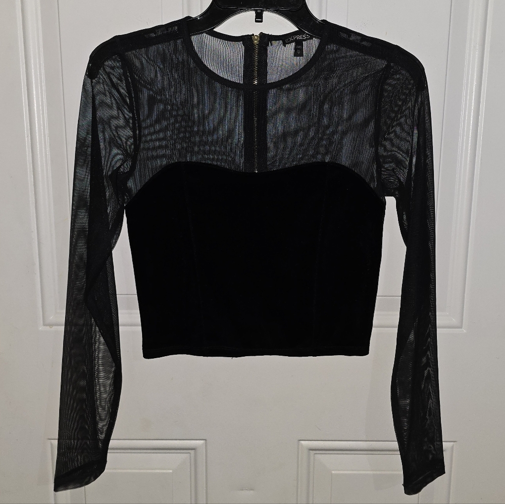 Express Velvet Sheer Mesh Black Crop Top Extra Small - XS